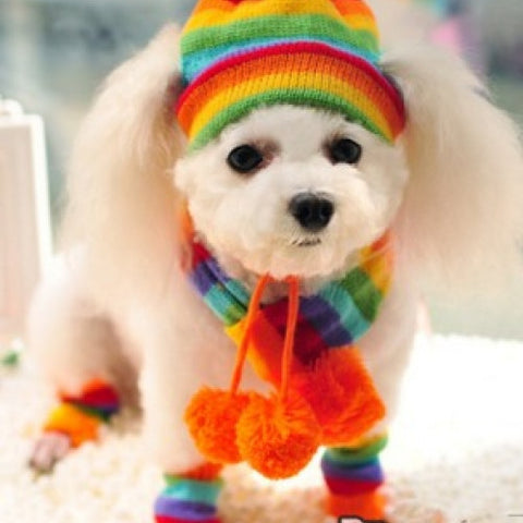 Pet Clothes