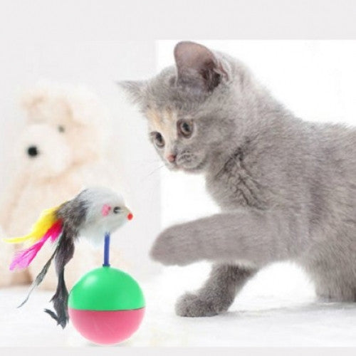 Plastic Toys Balls for Cat